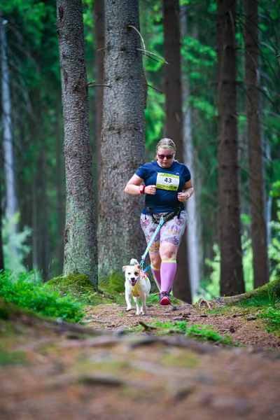 Krkonošský canicross - Jilemnice – 30. května 2026