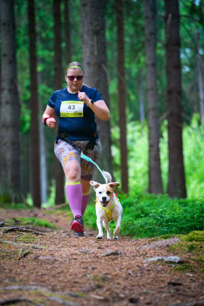 Krkonošský canicross - Jilemnice – 30. května 2026