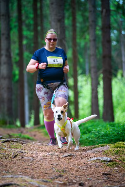 Krkonošský canicross - Jilemnice – 30. května 2026