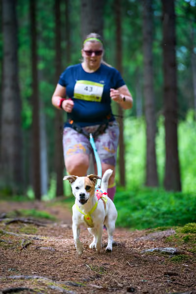 Krkonošský canicross - Jilemnice – 30. května 2026