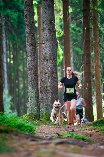 Krkonošský canicross - Jilemnice – 30. května 2026