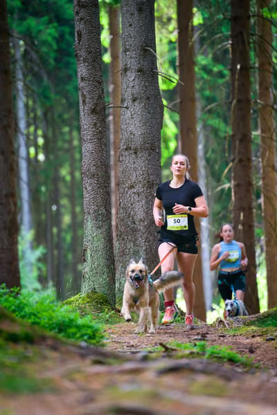 Krkonošský canicross - Jilemnice – 30. května 2026