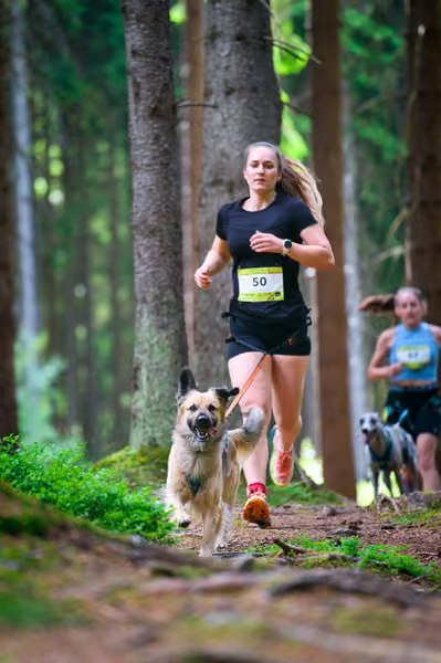 Krkonošský canicross - Jilemnice – 30. května 2026