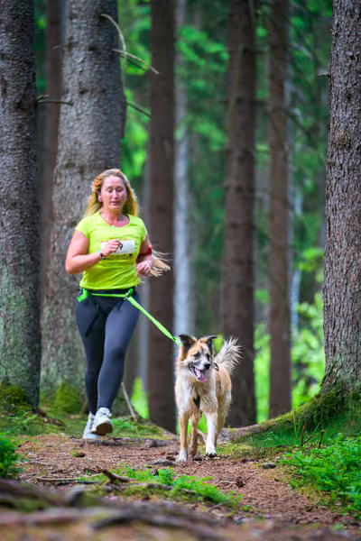 Krkonošský canicross - Jilemnice – 30. května 2026