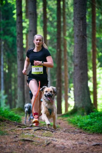 Krkonošský canicross - Jilemnice – 30. května 2026