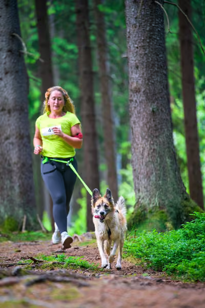 Krkonošský canicross - Jilemnice – 30. května 2026