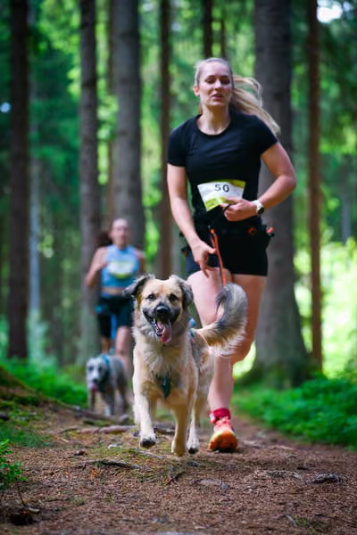 Krkonošský canicross - Jilemnice – 30. května 2026