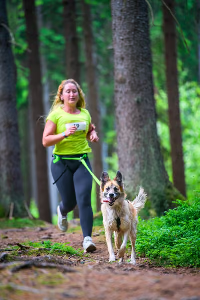 Krkonošský canicross - Jilemnice – 30. května 2026