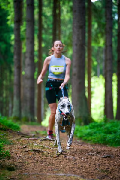 Krkonošský canicross - Jilemnice – 30. května 2026