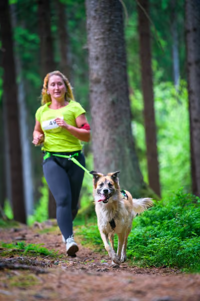 Krkonošský canicross - Jilemnice – 30. května 2026