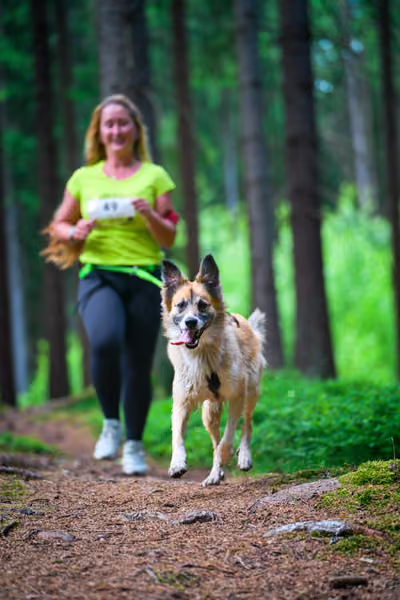 Krkonošský canicross - Jilemnice – 30. května 2026