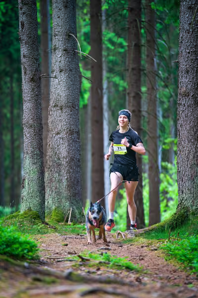Krkonošský canicross - Jilemnice – 30. května 2026