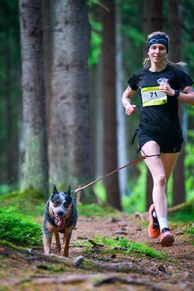 Krkonošský canicross - Jilemnice – 30. května 2026