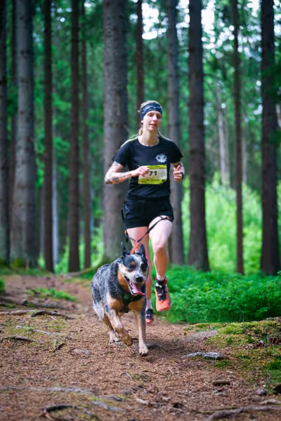 Krkonošský canicross - Jilemnice – 30. května 2026
