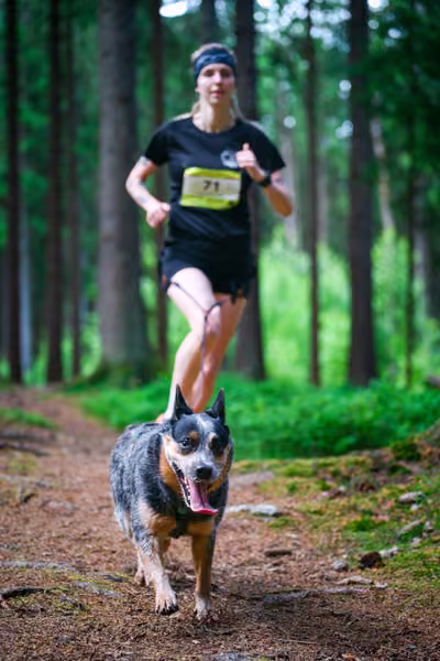 Krkonošský canicross - Jilemnice – 30. května 2026