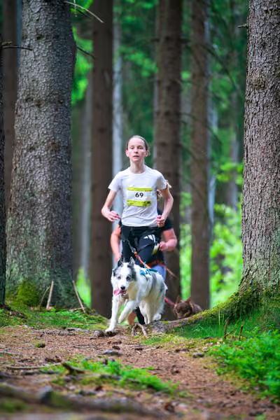 Krkonošský canicross - Jilemnice – 30. května 2026