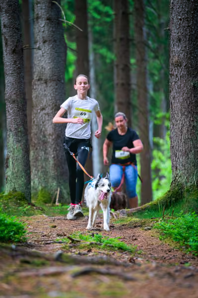 Krkonošský canicross - Jilemnice – 30. května 2026