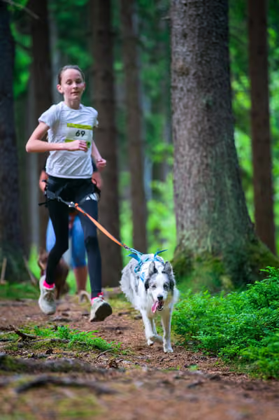 Krkonošský canicross - Jilemnice – 30. května 2026