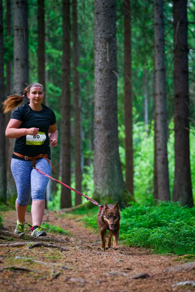 Krkonošský canicross - Jilemnice – 30. května 2026