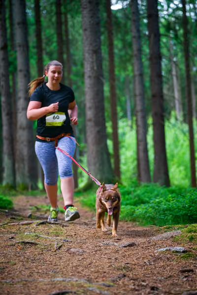 Krkonošský canicross - Jilemnice – 30. května 2026