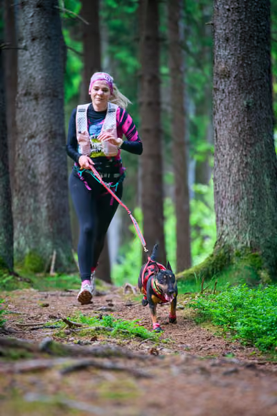 Krkonošský canicross - Jilemnice – 30. května 2026