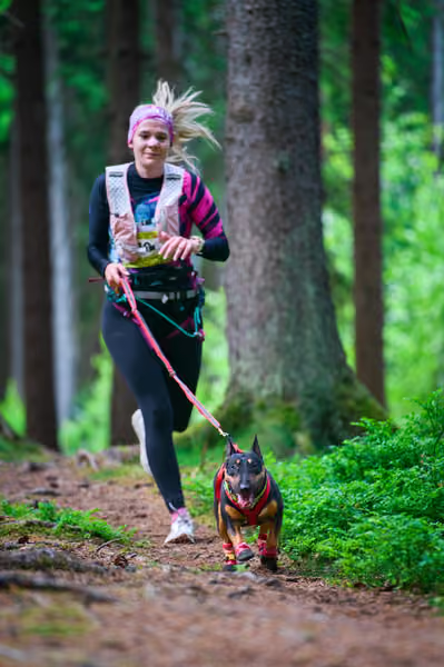 Krkonošský canicross - Jilemnice – 30. května 2026