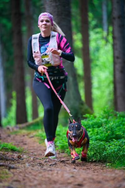Krkonošský canicross - Jilemnice – 30. května 2026
