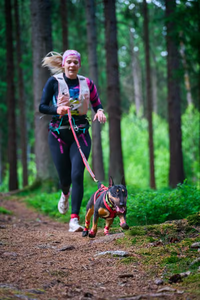 Krkonošský canicross - Jilemnice – 30. května 2026