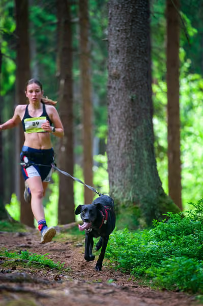 Krkonošský canicross - Jilemnice – 30. května 2026
