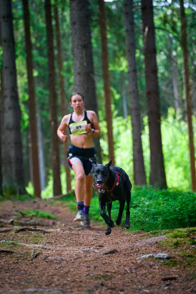 Krkonošský canicross - Jilemnice – 30. května 2026
