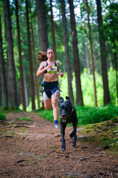Krkonošský canicross - Jilemnice – 30. května 2026