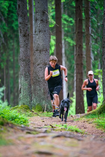 Krkonošský canicross - Jilemnice – 30. května 2026