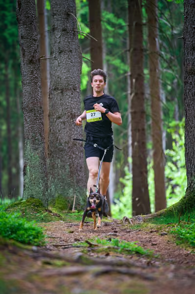 Krkonošský canicross - Jilemnice – 30. května 2026