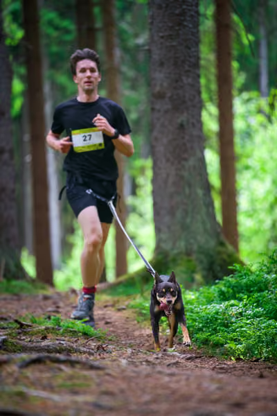 Krkonošský canicross - Jilemnice – 30. května 2026