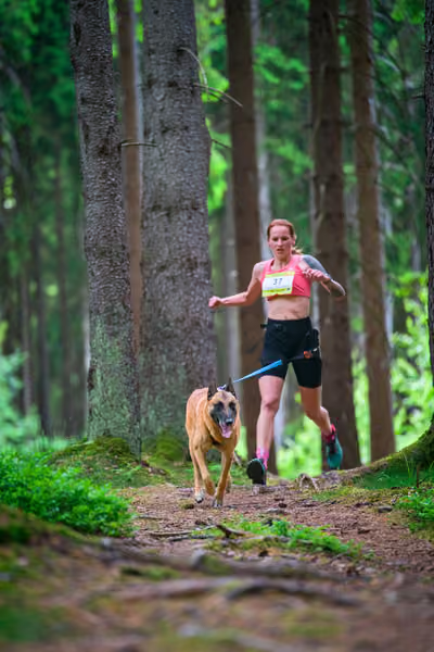 Krkonošský canicross - Jilemnice – 30. května 2026