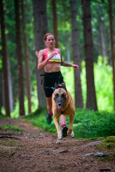 Krkonošský canicross - Jilemnice – 30. května 2026