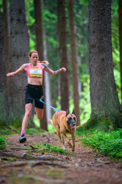 Krkonošský canicross - Jilemnice – 30. května 2026