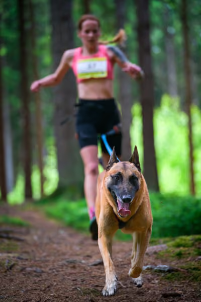 Krkonošský canicross - Jilemnice – 30. května 2026