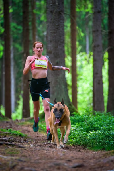 Krkonošský canicross - Jilemnice – 30. května 2026