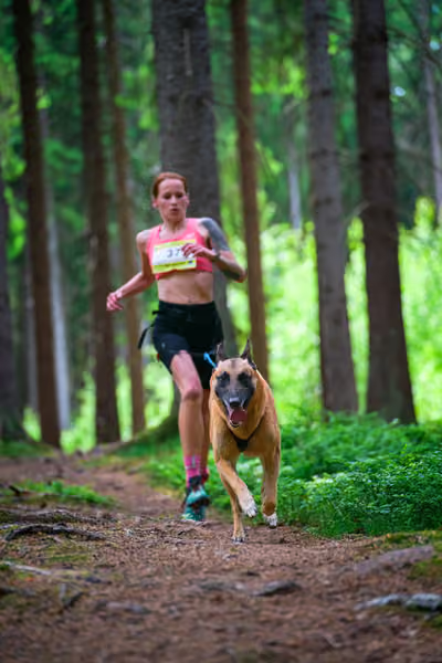 Krkonošský canicross - Jilemnice – 30. května 2026