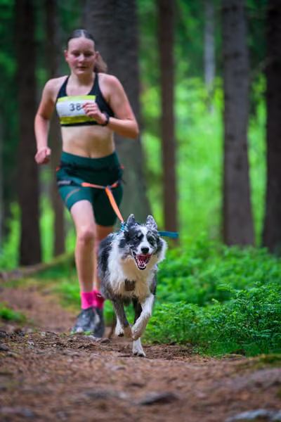 Krkonošský canicross - Jilemnice – 30. května 2026
