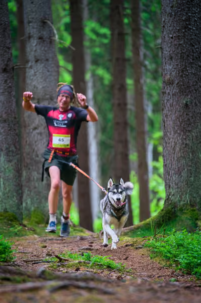 Krkonošský canicross - Jilemnice – 30. května 2026