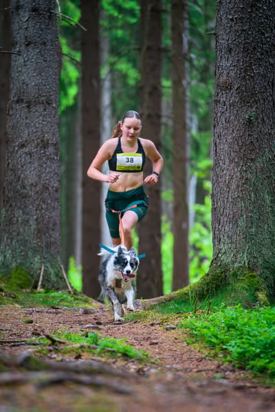Krkonošský canicross - Jilemnice – 30. května 2026