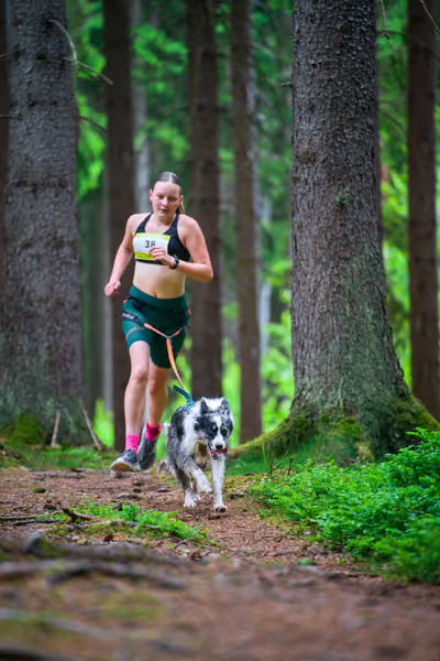 Krkonošský canicross - Jilemnice – 30. května 2026