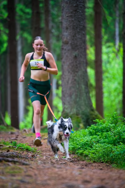 Krkonošský canicross - Jilemnice – 30. května 2026