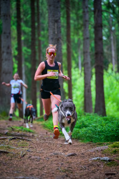 Krkonošský canicross - Jilemnice – 30. května 2026