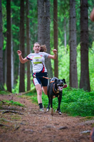 Krkonošský canicross - Jilemnice – 30. května 2026