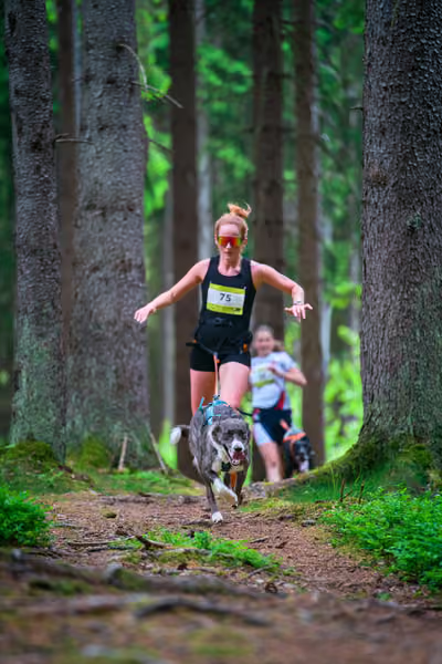 Krkonošský canicross - Jilemnice – 30. května 2026