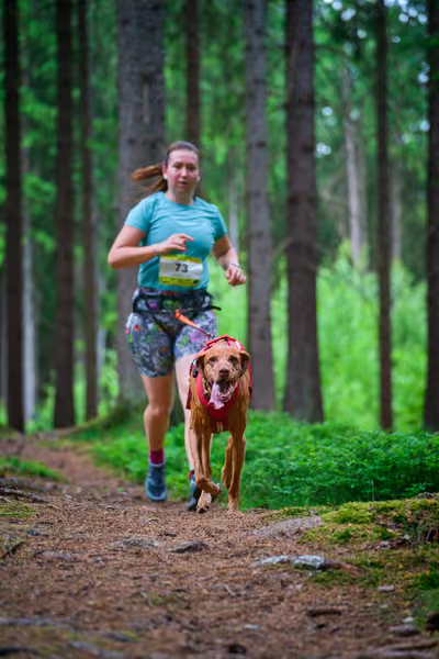 Krkonošský canicross - Jilemnice – 30. května 2026