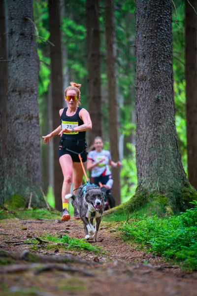 Krkonošský canicross - Jilemnice – 30. května 2026